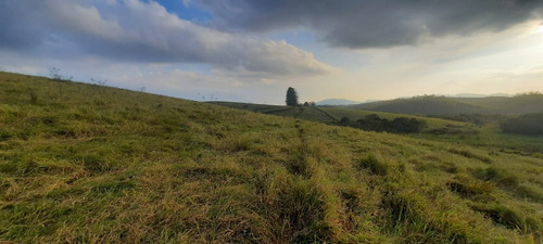 Imagem 9 de 14 de C02 - Terreno Com Acesso A Represa