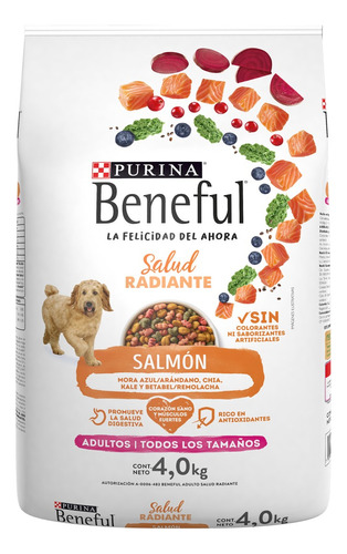 Alimento Beneful Salud Radiente para perro adulto todos los tamaños sabor salmón en bolsa de 4kg