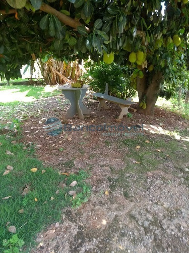 Imagem 3 de 30 de Chacara - Ch00043 - 32005982