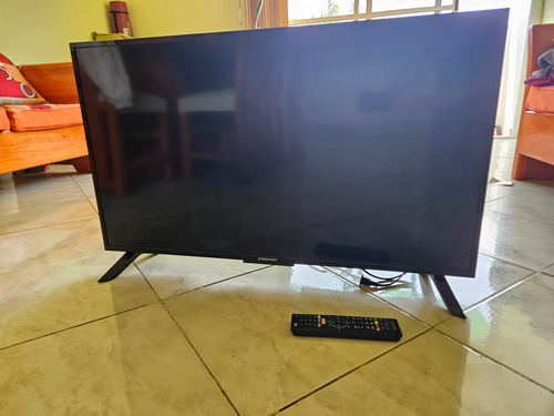 Smart Tv De 39 Element E2sw3918 Con Pantalla Led Full Hd (Usado)