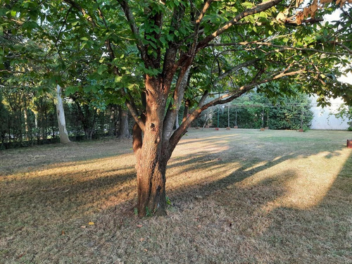Imagen 27 de 30 de Venta Quinta - Del Viso