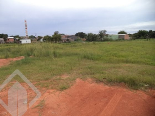 Imagem 12 de 15 de Terreno - Centro - Ref: 112333 - V-112333