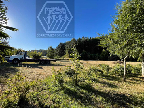 Parcela De 1ha En Venta A 11km De Quepe (96598)