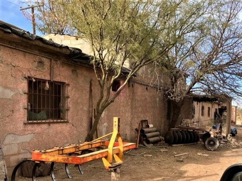 Imagen 14 de 19 de Greenwood Vende Hermosa Finca Con Viñedos, Casa, Galpon Y Pozo Para Riego