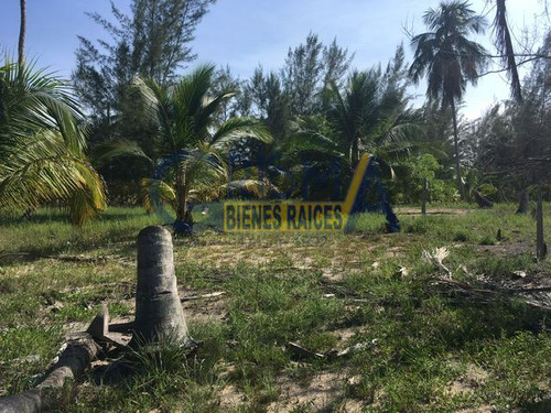 Terreno En Venta En La Playa De Tuxpan