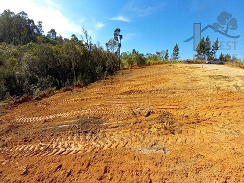 Imagem 1 de 8 de Cod - 5767 - Terreno De 499,95 M² Em Loteamento Fechado De I - 5767
