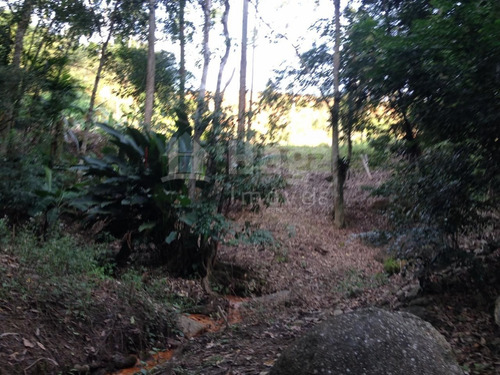 Imagem 6 de 14 de Terreno Para Chácara À Venda Em Canelinha/sc - 1669c