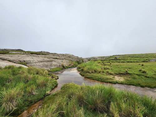 Imagen 9 de 30 de Se Vende Espectacular Fraccion De 70 Hectareas Con Agua, Pastizal, Vistas Unicas, Red 4g Personal En Los Gigantes
