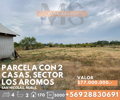 Casas En Sector Los Aromos, Comuna De San Nicolás, Ñuble.