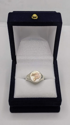 Anillo En Plata 925 Y Oro 9k Profesion Masajista