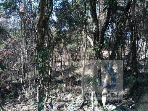 Imagem 6 de 14 de *** Lindo Terreno ***