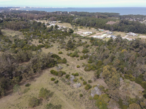 Venta Lote Ideal Para Barrio Privado- Punta Ballena (ref: Atm-7141)