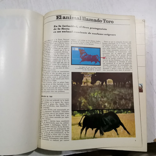 ¡toro Y Fiesta! Primera Tauromaquia En Color 1a Edición 1966 (Usado)