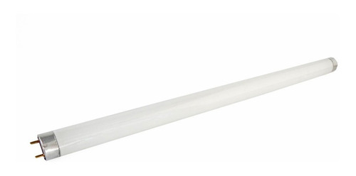 5 Lâmpada Uv-a 15w Para Armadilha Pega Mata Mosca Mosquito