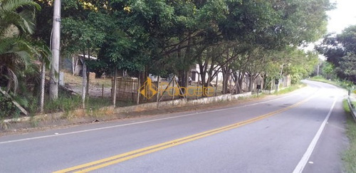 Imagem 9 de 11 de Rural Chacara - 776059-v