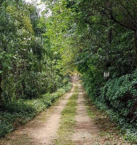 Imagem 1 de 6 de Terreno À Venda, 5200 M² Por R$ 392.200,00 - Guacuri - Itupeva/sp - Te0036