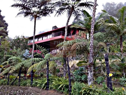 Dapa, Casa Campestre, La Propiedad Cuenta Con Un Lote De 12. 900 M2