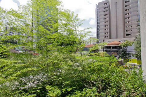 Imagem 4 de 30 de Apartamento - Ap00473 - 70281608
