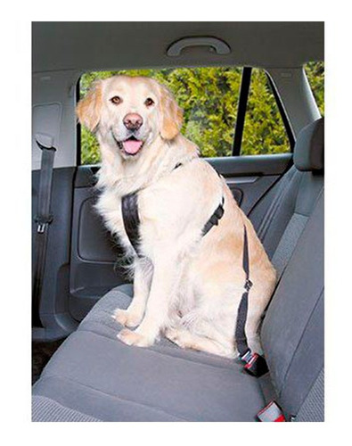 Cinturon De Seguridad Para Mascotas
