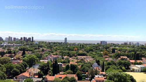 Imagen 16 de 24 de Departamento 2 Amb Con Balcon - La Lucila