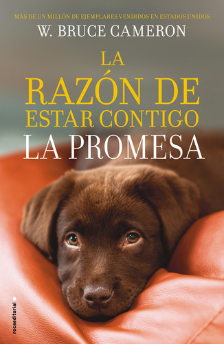 La promesa ( La razón de estar contigo 3 ), de Cameron, W. Bruce. Serie La razón de estar contigo Editorial ROCA TRADE, tapa blanda en español, 2020