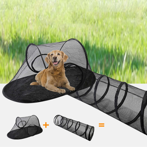 Tienda De Campaña Y Túnel Para Gatos, Para Cachorros Al