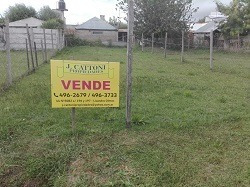 Venta De Lote En Lisandro Olmos