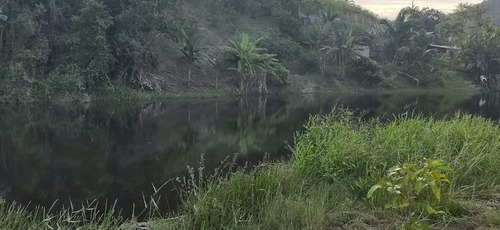 Imagem 6 de 14 de Miracatu/pedro De Toledo/chácara C/linda Vista P/lago/ref:05369