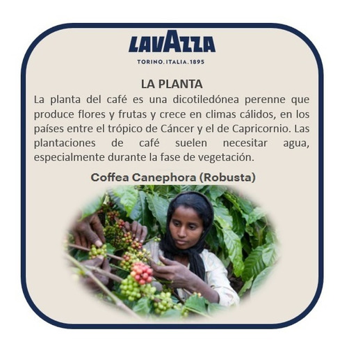 Imagen 6 de 8 de Cafe Italiano Lavazza Grand Hotel Molido 1 Kg + Cafe 226g
