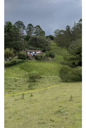 Lote Independiente Rionegro Vereda Ojo De Agua