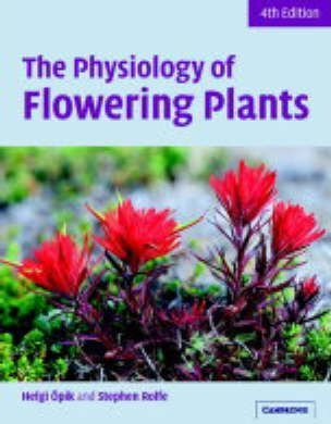 Libro The Physiology Of Flowering Plants - Arthur J. Willis