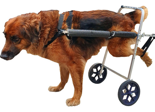 Cadeira De Rodas Para Cachorro Grande Porte De 15 A 30 Kg