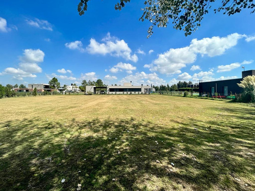 Imagen 3 de 17 de Lote En Venta En Oportunidad En Puerto Roldan