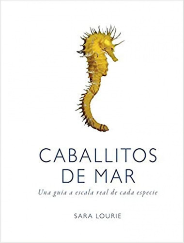 Caballitos De Mar