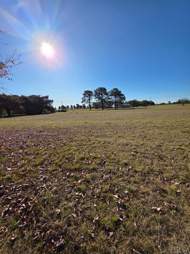 Terreno En Venta En Country Los Molinos