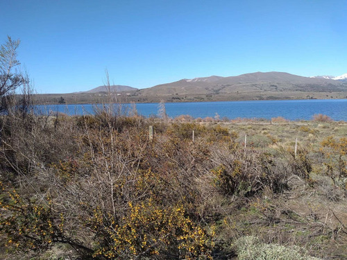 Imagen 2 de 8 de Hermoso Lote Frente Al Lago Huechulafquen
