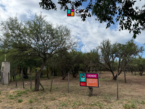 Venta De Lote Desmalezado En Carpintería