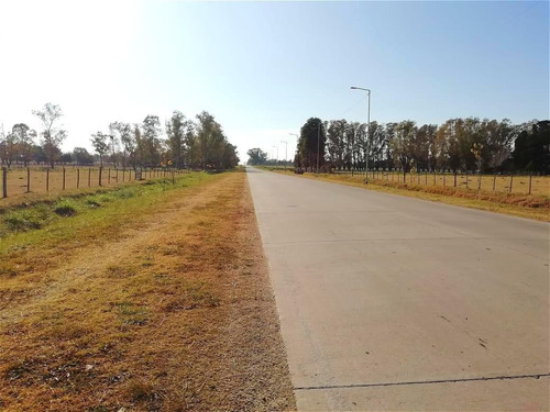 Imagen 1 de 13 de Campo 5ha - Con Pequeña Construcción - Capitan Sarmiento -