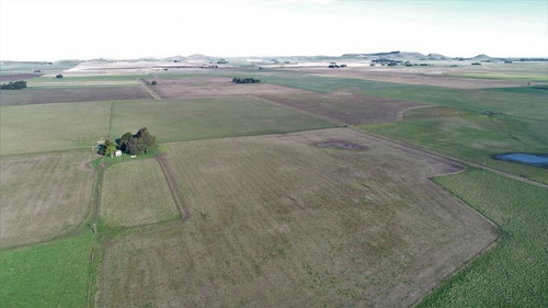 Imagen 7 de 28 de Campo 39 Has. Agrícolas Con Mejoras - Zona Dos Naciones