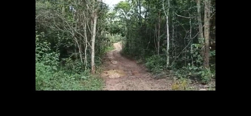 Imagem 4 de 6 de Terreno Escriturado Zona Rural De Pirenópolis