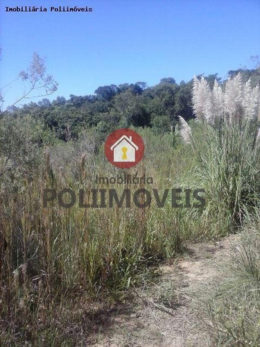 Imagem 5 de 11 de Chácara Para Venda Em Araucária, Lagoa Grande - Ch0695_2-1188144