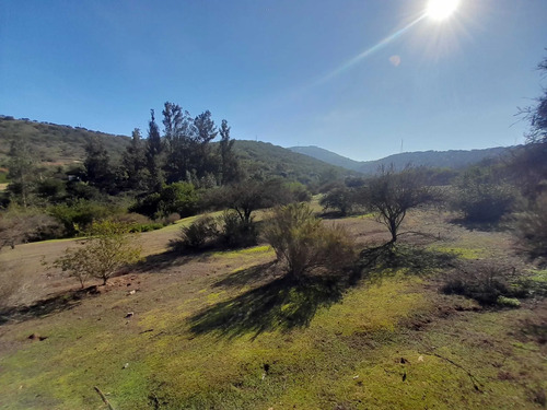 Visite 3 Opciones De Parcelas En Los Laureles (171106)