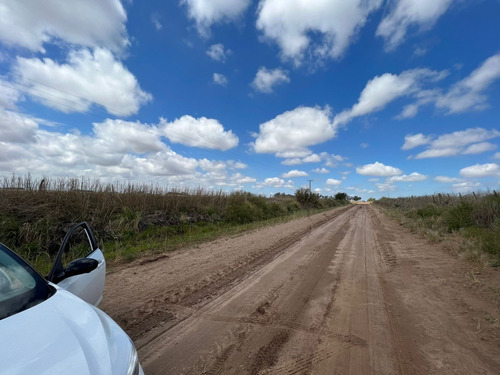 Imagen 6 de 6 de Venta - 516 Ha A 12 Km De Vicuña Mackenna - Ruta 7