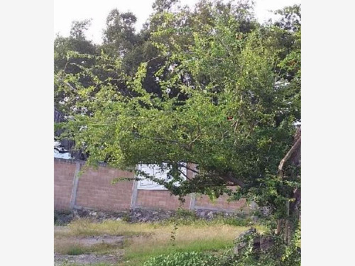 Terreno En Venta Acapatzingo