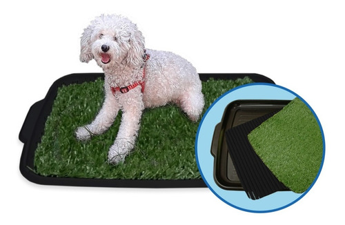 Bandeja Sanitaria Alfombra Baño Perros Tricapa 39x50