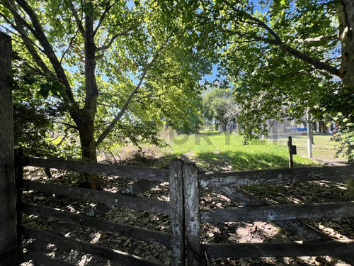 Venta Campo/ Terreno, Apto Desarrollo. Calle 135 Y 443 Bis