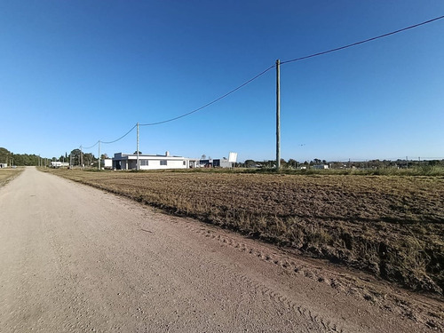 Terrenos En Libertador San Martín - Puiggari