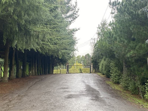 Imagen 5 de 10 de Sitio En Venta En Osorno