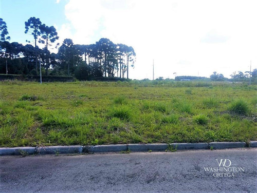 Terreno À Venda, 360 M² 10% De Entrada Rio Pequeno - São José Dos Pinhais/pr - Te0064