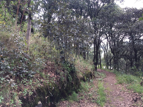 Vendo Terreno En Pueblo Mágico De Real Del Monte